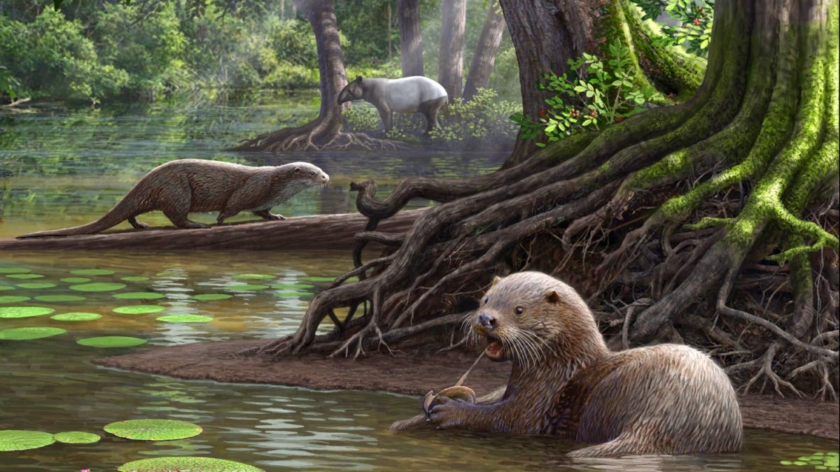 Illustration of giant prehistoric otters around a swamp