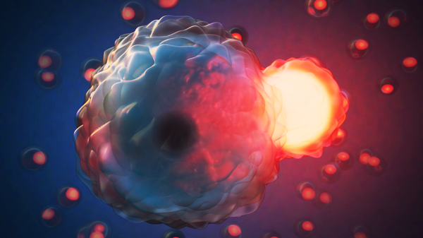 Digital rendering of cells.