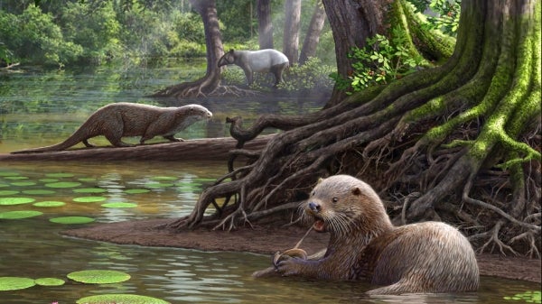 Illustration of giant prehistoric otters around a swamp 