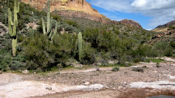 Photo courtesy of Nancy Grimm. An isolated pool in a drying stream.